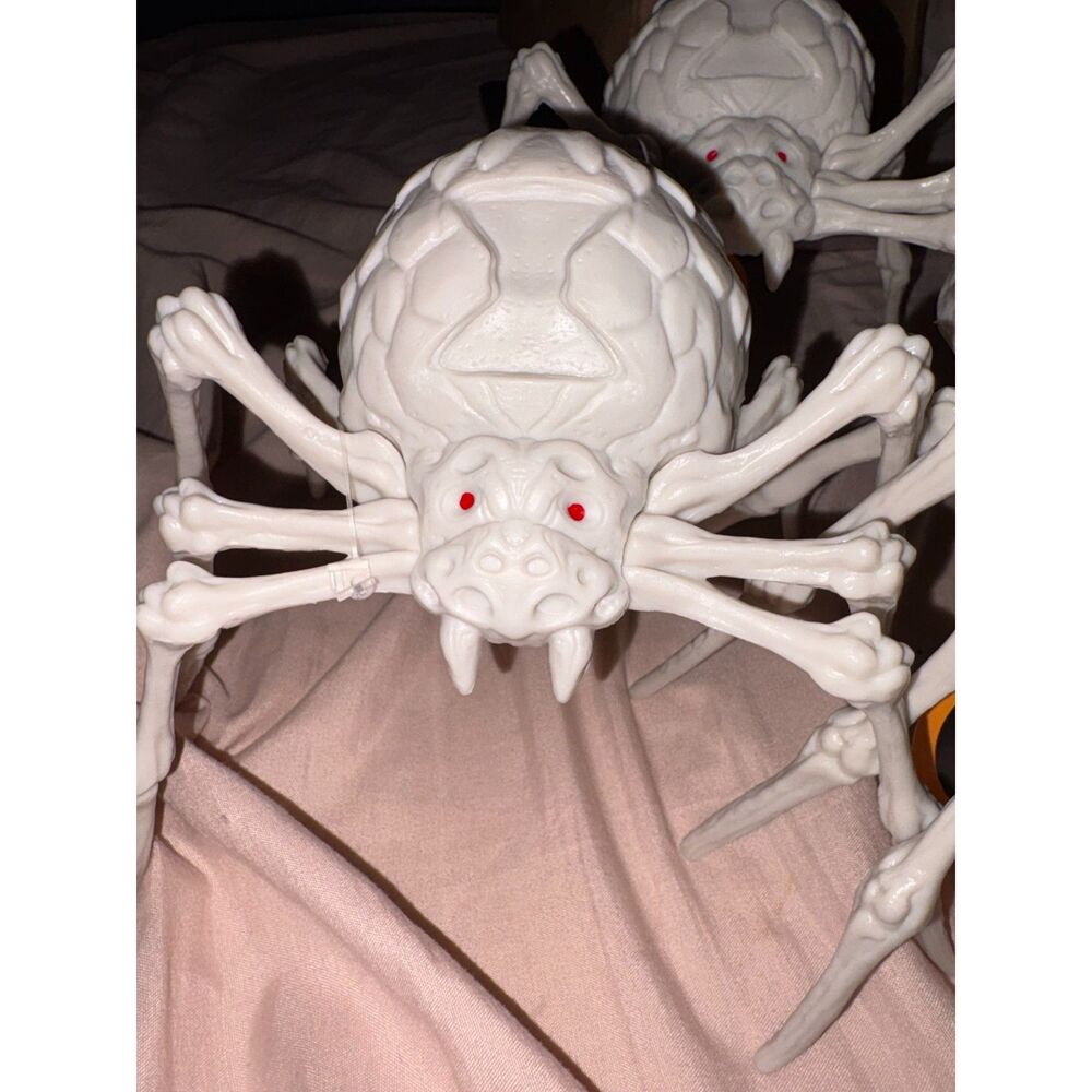 Seasonal Collection Skeleton Spider Halloween Decorations - Set of 3